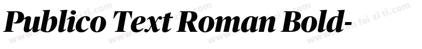 Publico Text Roman Bold字体转换